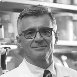 Aleksandar Sekulic, MD, PhD